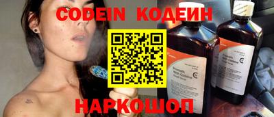 МДПВ Кингисепп