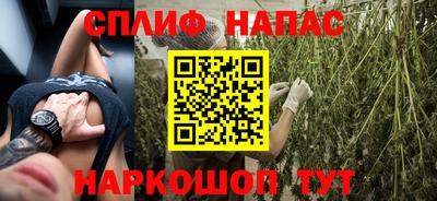 МДПВ Кингисепп