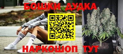 МДПВ Кингисепп