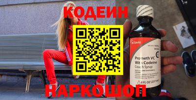 МДПВ Кингисепп