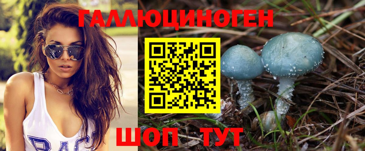 Галлюциногенные грибы Magic Shrooms Киселёвск