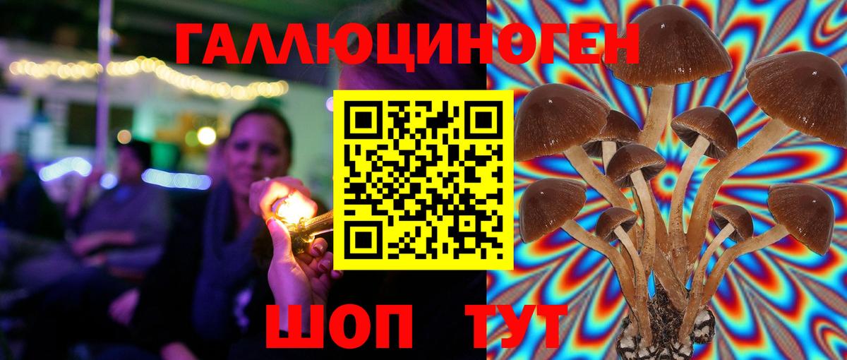 Псилоцибиновые грибы мицелий  цена   Киселёвск  Вход с VPN  Галлюциногенные грибы Psilocybine cubensis 
