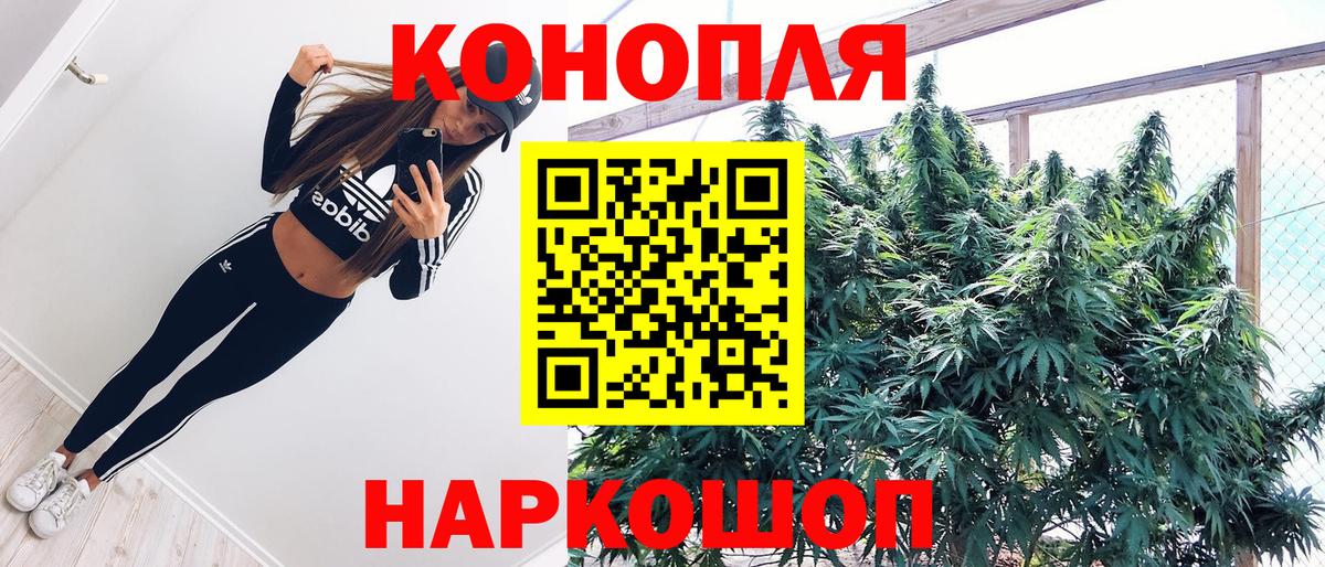 Каннабис ГИДРОПОН  Шишки марихуана VHQ  Вход с VPN  МАРИХУАНА тримм  Киселёвск 